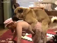 Brown dog fucks a beastie gal nurse